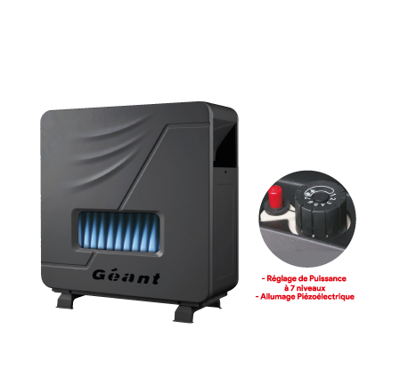 Image du produit de Geant-electronics