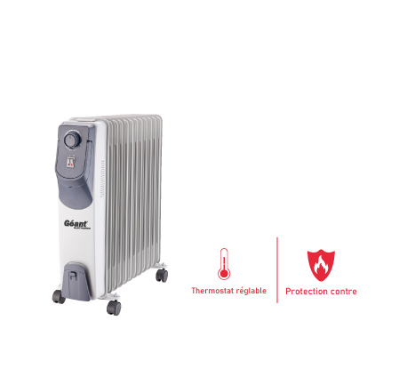 Image du produit de Geant-electronics