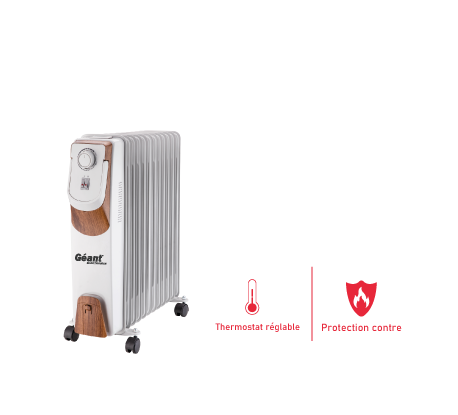 Image du produit de Geant-electronics