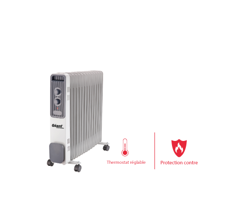 Image du produit de Geant-electronics